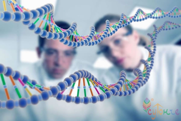 Новое в ДНК-генеалогии и база данных по палео-ДНК